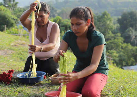 SDG Corporate Tracker de las Naciones Unidas