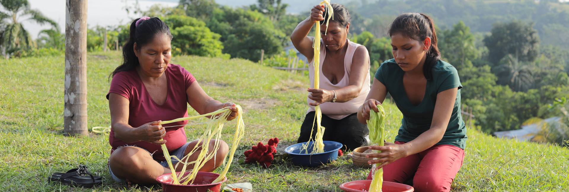 SDG Corporate Tracker de las Naciones Unidas