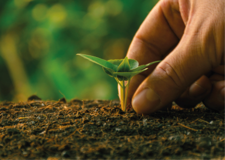 Remediación ambiental
