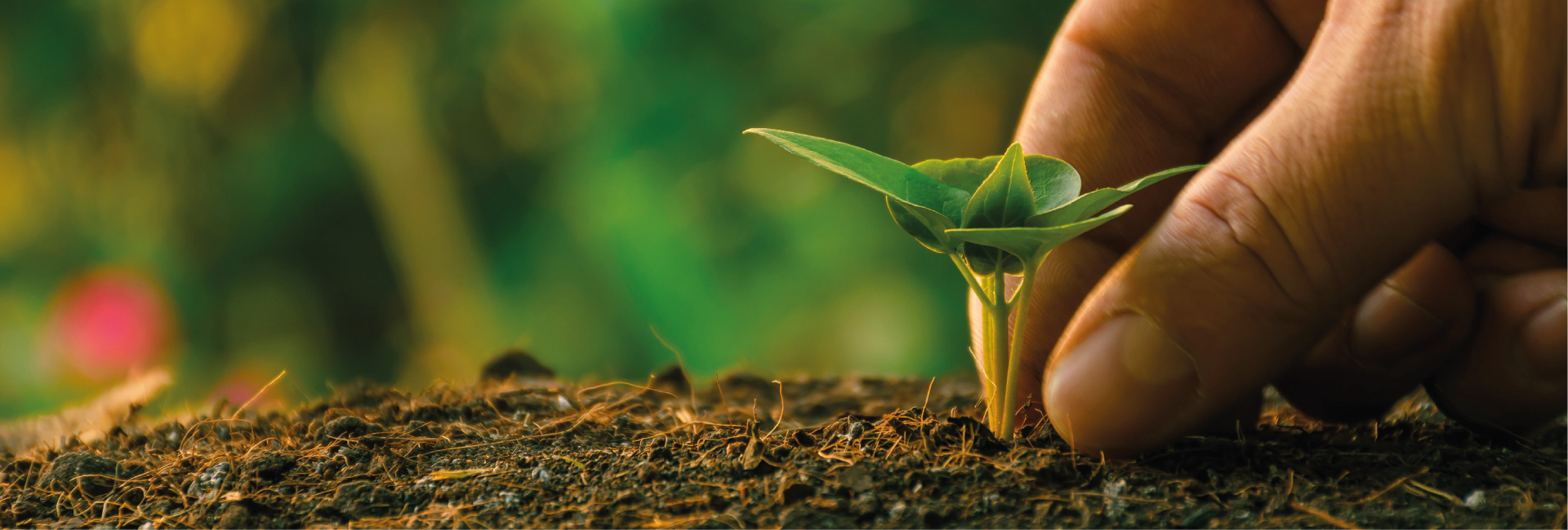Remediación ambiental